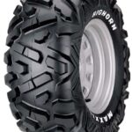 MAXXIS 25/10-12 TL 50N M-918 BIGHORN 6PR